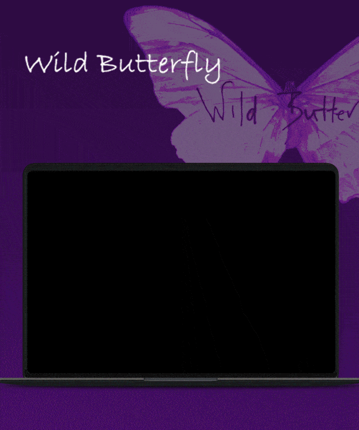 WILD BUTTERFLY WEBSITE